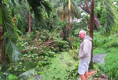 L'allée du bungalow Yanfolila a disparu sous les branches