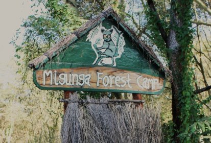 Arrivée au Migunga Forest Camp