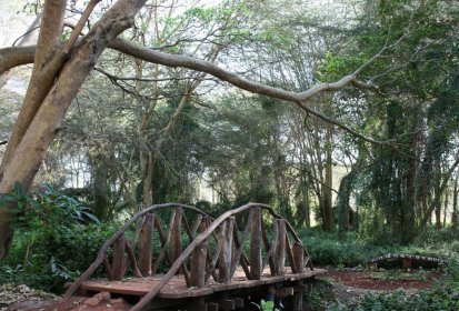 Le petit pont de bois ..