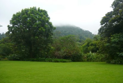 Les montagnes dans la brume