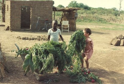 Et les enfants m'aident au jardin !