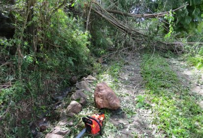 Sur le chemin qui mène à La Koumbala, des roches et des arbres sont (...)