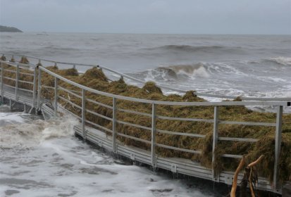 Le ponton ne résistera pas au poids des algues ..