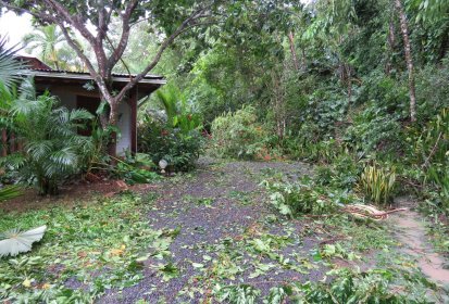 8 heures du matin, le jardin