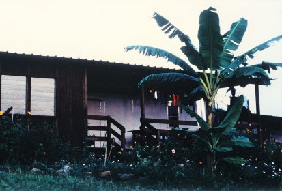 Notre porta-camp et mes quelques plantations