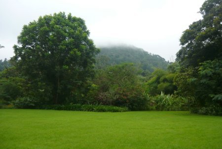 Les montagnes dans la brume